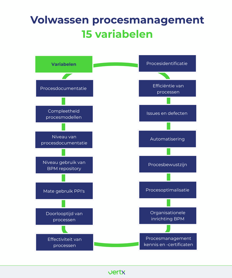 15 variabelen van volwassen procesmanagement
